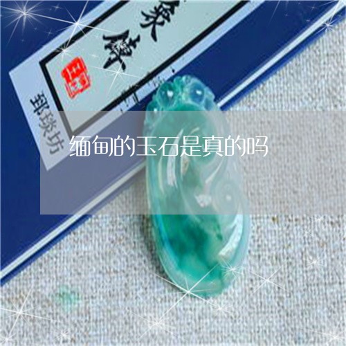 缅甸的玉石是真的吗/2023041393171 缅甸的玉石是真的吗/2023041393171
