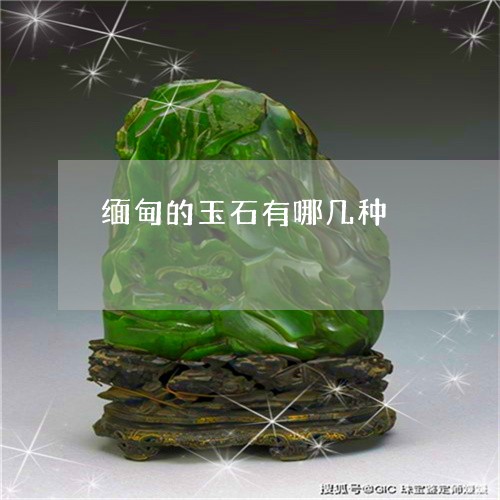 缅甸的玉石有哪几种/2023041351404 缅甸的玉石有哪几种/2023041351404