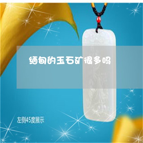 缅甸的玉石矿很多吗/2023041384949 缅甸的玉石矿很多吗/2023041384949