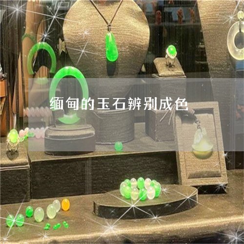缅甸的玉石辨别成色/2023041315939 缅甸的玉石辨别成色/2023041315939