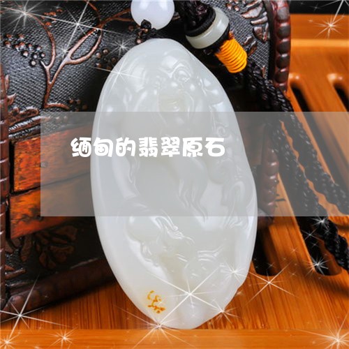 缅甸的翡翠原石/2023032838068