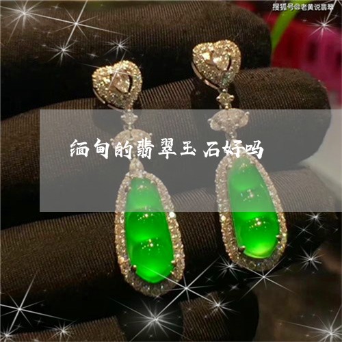 缅甸的翡翠玉石好吗/2023041392716