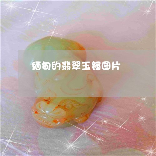 缅甸的翡翠玉镯图片/2023041352736