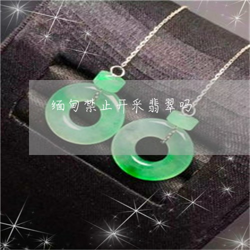 缅甸禁止开采翡翠吗/2023041359492 缅甸禁止开采翡翠吗/2023041359492