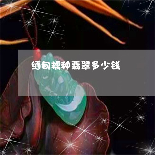 缅甸糯种翡翠多少钱/2023041374159