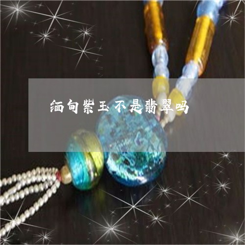 缅甸紫玉不是翡翠吗/2023041386160