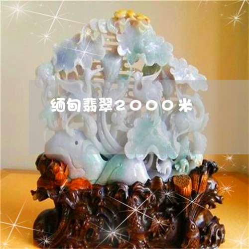 缅甸翡翠2000米/2023041363728 缅甸翡翠2000米/2023041363728