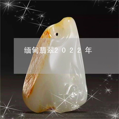 缅甸翡翠2022年/2023041320502 缅甸翡翠2022年/2023041320502