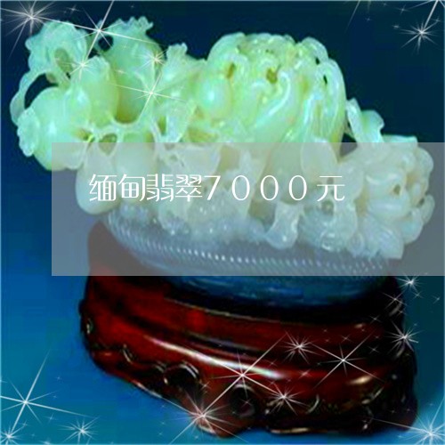 缅甸翡翠7000元/2023041397472 缅甸翡翠7000元/2023041397472