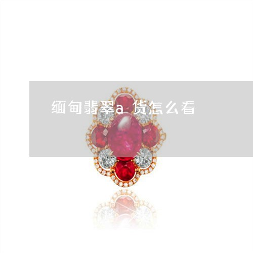 缅甸翡翠a货怎么看/2023041363937