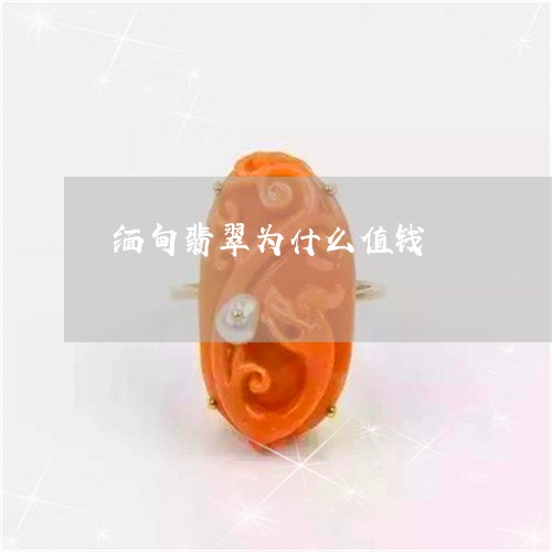缅甸翡翠为什么值钱/2023041352705 缅甸翡翠为什么值钱/2023041352705