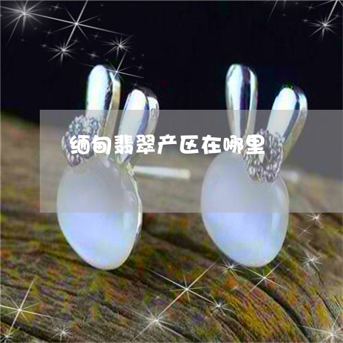 缅甸翡翠产区在哪里/2023041353819 缅甸翡翠产区在哪里/2023041353819