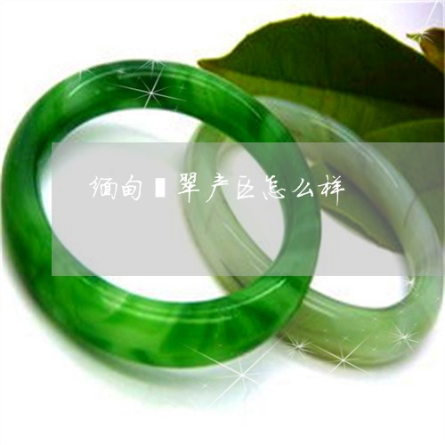 缅甸翡翠产区怎么样/2023041328250 缅甸翡翠产区怎么样/2023041328250