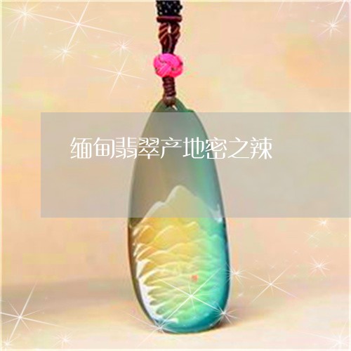 缅甸翡翠产地密之辣/2023041359724 缅甸翡翠产地密之辣/2023041359724