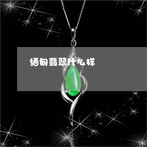 缅甸翡翠什么样/2023032829582