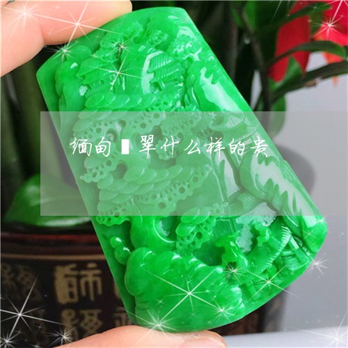 缅甸翡翠什么样的贵/2023041397269 缅甸翡翠什么样的贵/2023041397269