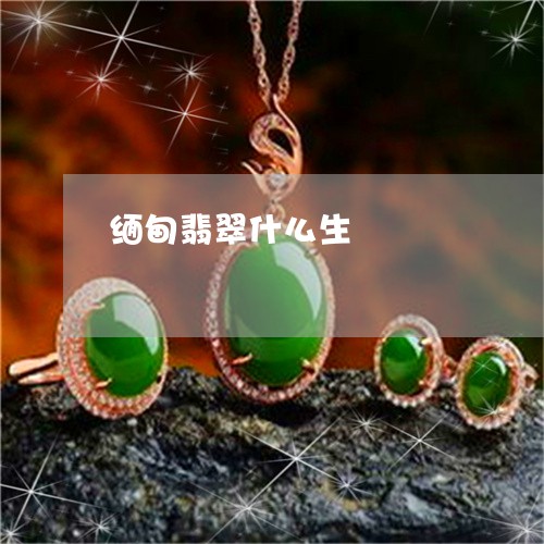 缅甸翡翠什么生/2023032882693