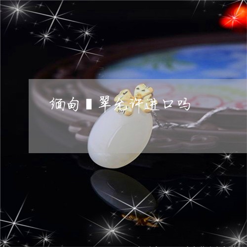 缅甸翡翠允许进口吗/2023041373815