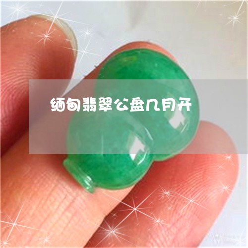 缅甸翡翠公盘几月开/2023041376240
