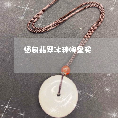 缅甸翡翠冰种哪里买/2023041326258 缅甸翡翠冰种哪里买/2023041326258