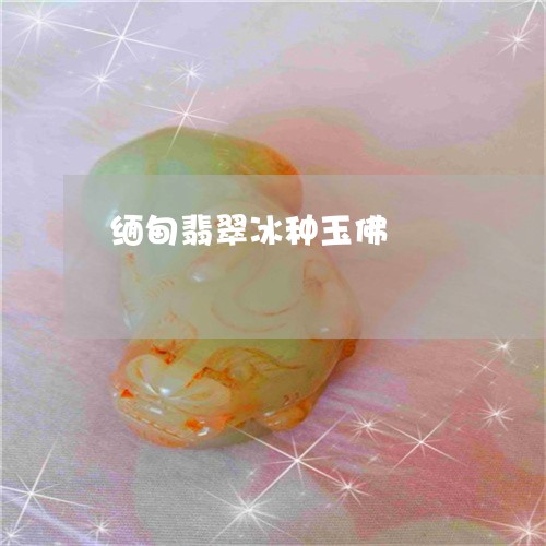 缅甸翡翠冰种玉佛/2023031597269 缅甸翡翠冰种玉佛/2023031597269