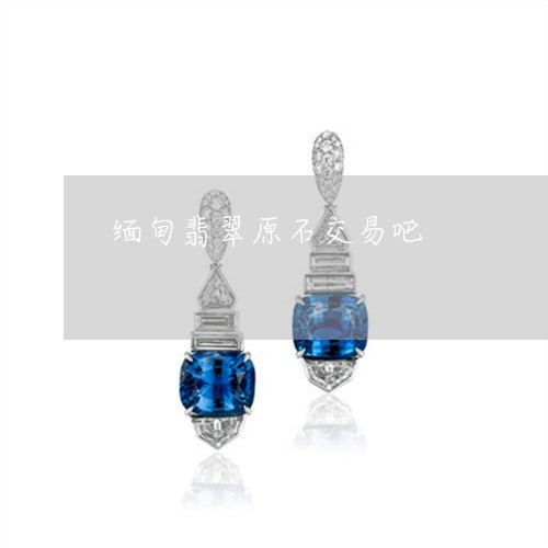 缅甸翡翠原石交易吧/2023040949461 缅甸翡翠原石交易吧/2023040949461