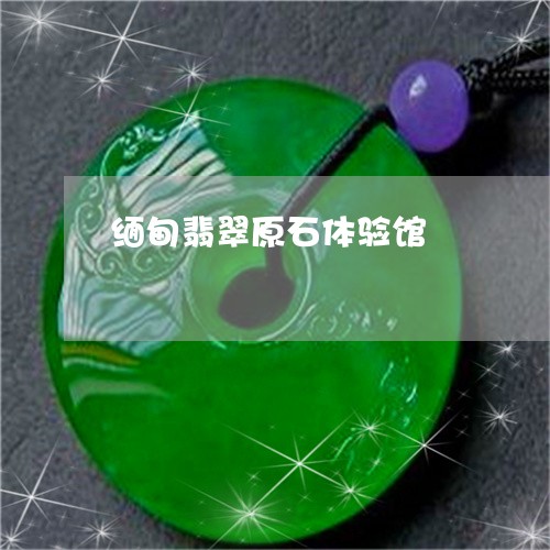 缅甸翡翠原石体验馆/2023040975160 缅甸翡翠原石体验馆/2023040975160