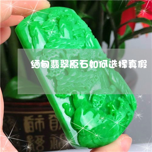缅甸翡翠原石如何选择真假/2023061956049