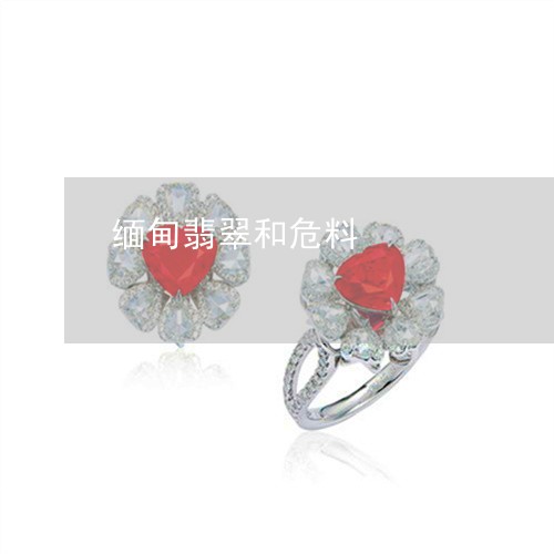 缅甸翡翠和危料/2023032794537