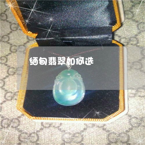 缅甸翡翠如何选/2023032704946