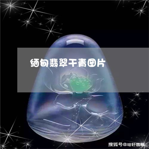 缅甸翡翠干青图片/2023061596057