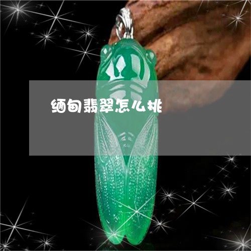 缅甸翡翠怎么挑/2023032782705