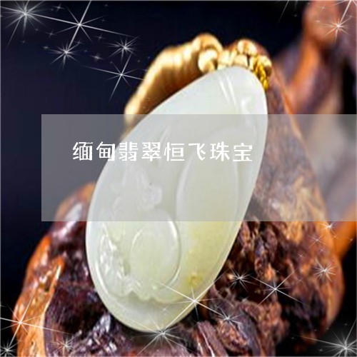 干货：缅甸翡翠恒飞珠宝-缅甸翡翠公司(本月更新中) - 翡翠专题