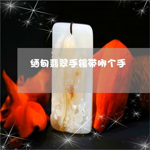 缅甸翡翠手镯带哪个手