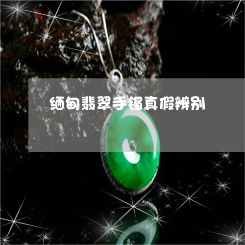 缅甸翡翠手镯真假辨别/2023021029503 缅甸翡翠手镯真假辨别/2023021029503