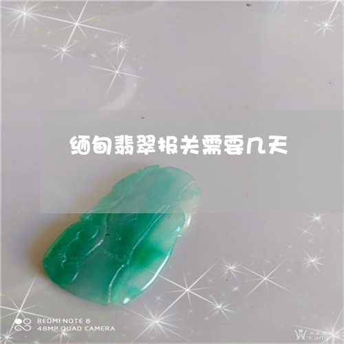 缅甸翡翠报关需要几天/2023021072916