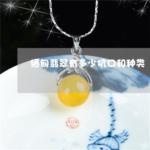 缅甸翡翠有多少坑口和种类/2023061931926 缅甸翡翠有多少坑口和种类/2023061931926
