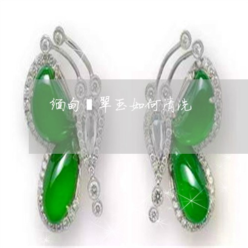 缅甸翡翠玉如何清洗/2023040974846 缅甸翡翠玉如何清洗/2023040974846