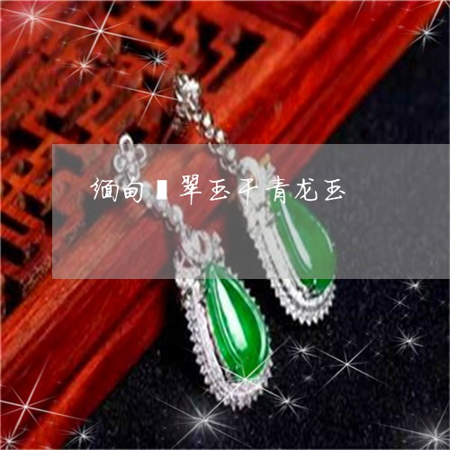 缅甸翡翠玉干青龙玉/2023040958383