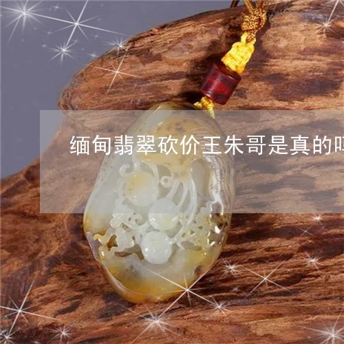 缅甸翡翠砍价王朱哥是真的吗/2023063053726