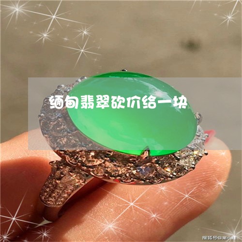缅甸翡翠砍价给一块/2023040993693 缅甸翡翠砍价给一块/2023040993693