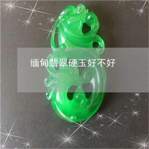 缅甸翡翠硬玉好不好/2023040960525 缅甸翡翠硬玉好不好/2023040960525