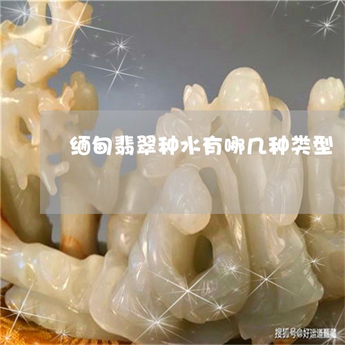 缅甸翡翠种水有哪几种类型/2023061954037 缅甸翡翠种水有哪几种类型/2023061954037