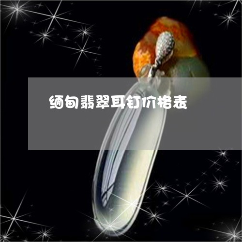 缅甸翡翠耳钉价格表/2023040952502