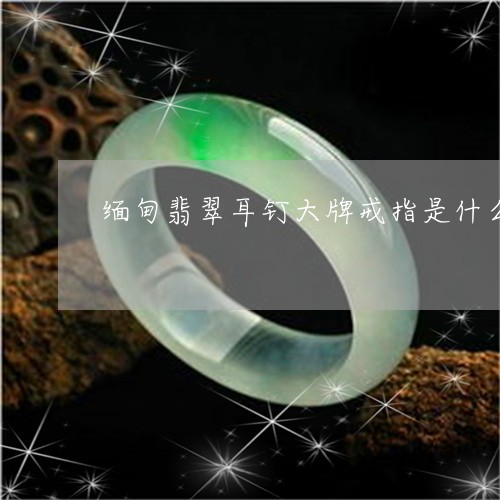 缅甸翡翠耳钉大牌戒指是什么/2023071275926