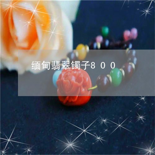 缅甸翡翠镯子800/2023040974606 缅甸翡翠镯子800/2023040974606