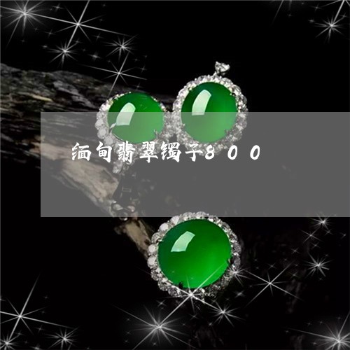 缅甸翡翠镯子800/2023040994738 缅甸翡翠镯子800/2023040994738