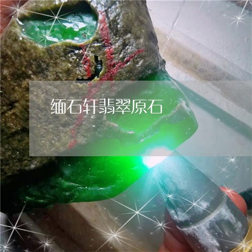 缅石轩翡翠原石/2023032709278