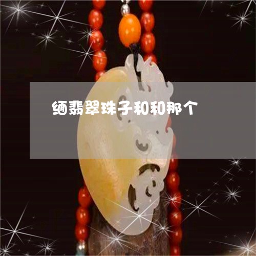 缅翡翠珠子和和那个/2023040964603 缅翡翠珠子和和那个/2023040964603