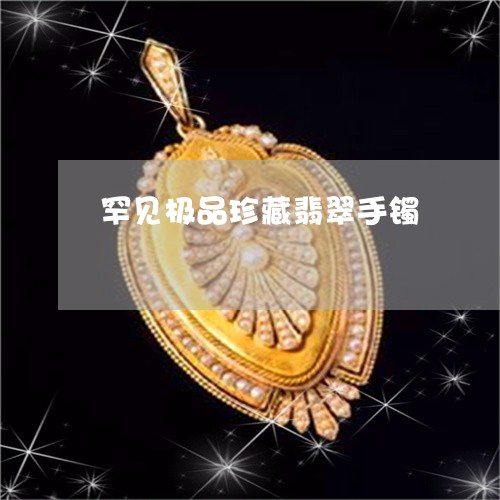 罕见极品珍藏翡翠手镯 罕见极品珍藏翡翠手镯